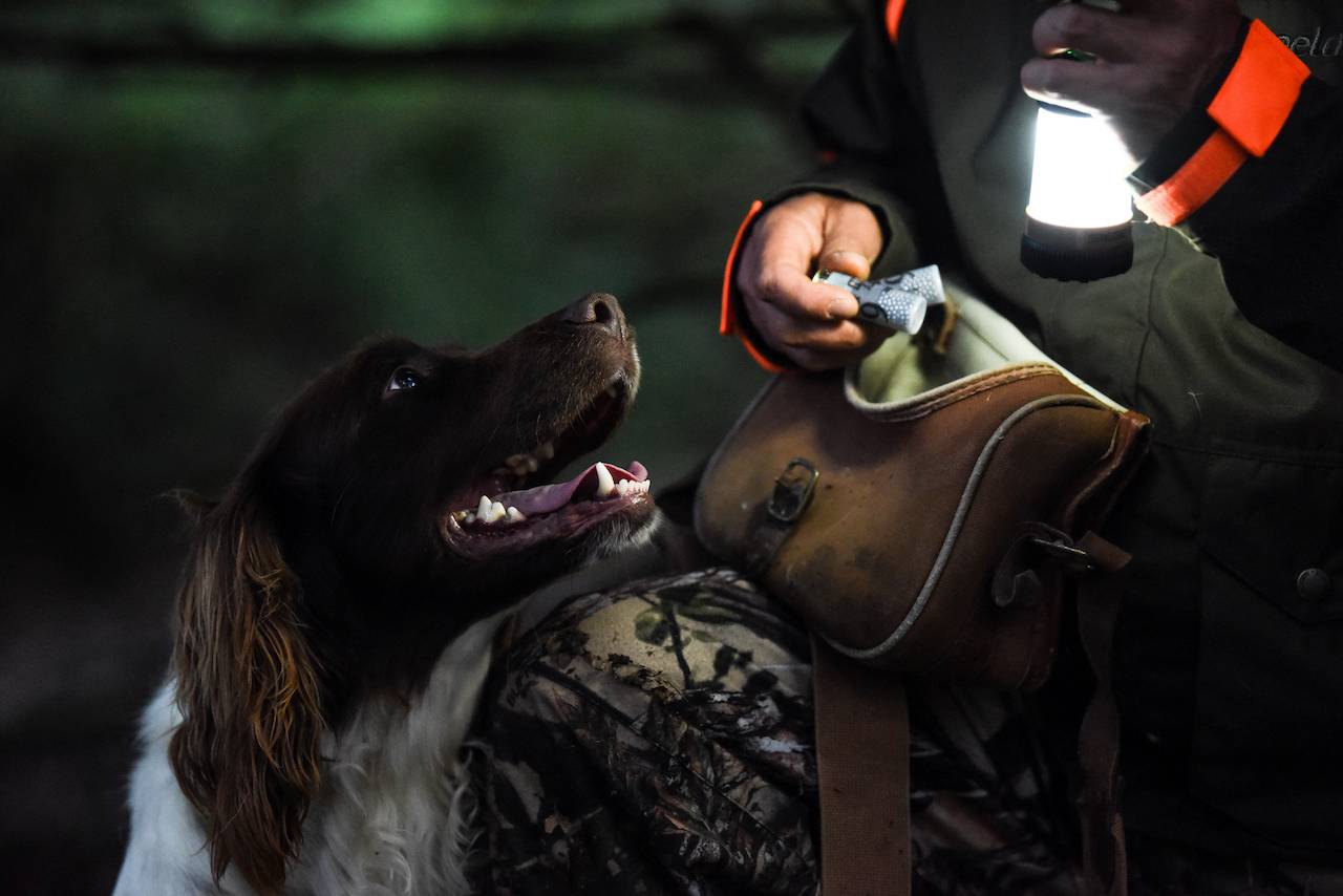 Streamlight Siege X USB Rechargeable Lantern 44956 ON SALE!